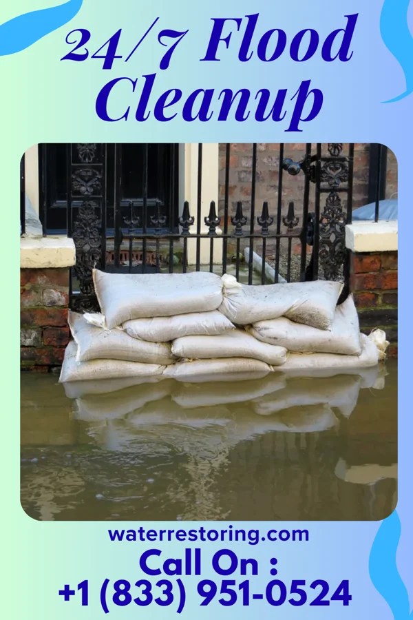 24/7 Flood Cleanup in Pine Bluff, AR